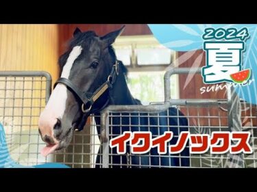 イクイノックスの今 馬体がグングン成長中！