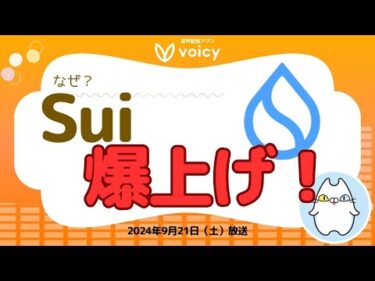 Sui爆上げ!!これから期待のトークンになる⁉️【Voicy9月21日放送】