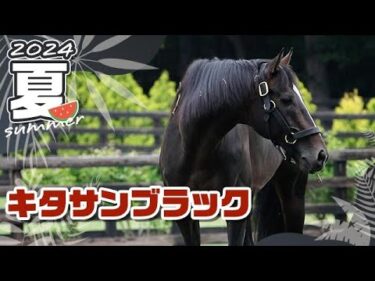 キタサンブラックの今 イクイノックスの父が見せる凛とした姿