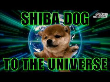 Shiba Dog to The Universe (single ver.)／YUKA YAMAZAKI（Official Music Video）