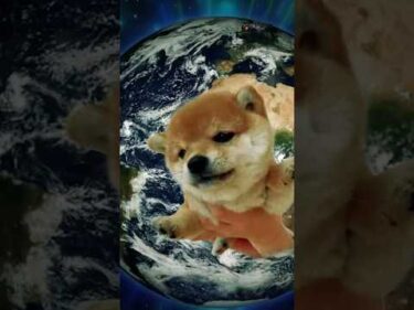 「Shiba Dog to The Universe 」MV