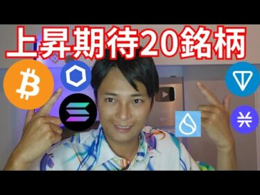 【年末まで上昇期待の仮想通貨20銘柄】ビットコイン アルトコイン