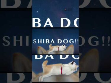 「Shiba Dog to the Universe」MV  Ⅳ