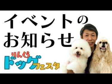 イベントのお知らせです【りんくうドッグフェスタ】