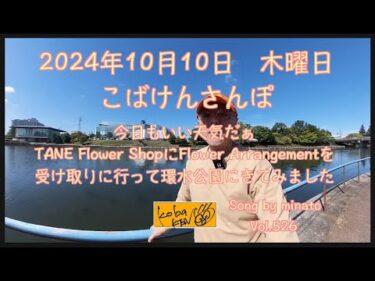 2024年10月10日　木曜日　こばけんさんぽ