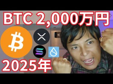 ビットコイン 2025年 2,000万円 到達へ 【仮想通貨 BTC アルトコイン 暗号通貨 暗号資産】