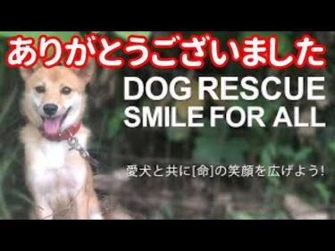 クラウドファンディング『DOG RESCUE SMILE FOR ALL』達成ありがとうございます