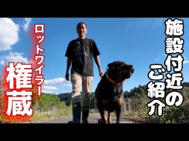 施設周りの散歩をVlog風の動画にしてみた