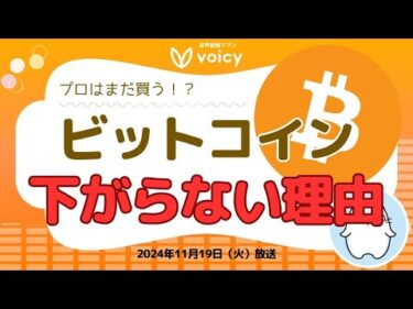 プロはまだ買う⤴️BTCがまだ下がらない理由【Voicy11月19日放送】