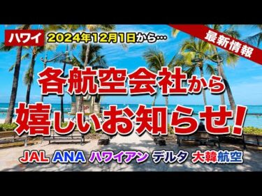 【ハワイ旅行】各航空会社から嬉しいお知らせ！2024年12月1日からハワイ旅行がもっと気軽に！【JAL、ANA、ハワイアン航空、デルタ航空、大韓航空】【ハワイ最新情報】【ハワイの今】