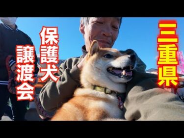 三重県四日市市動物愛護団体つむぎ譲渡会＆愛犬相談会