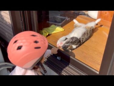 お互いに大好きな猫のキウイと3歳娘。窓越しの甘え合うやりとりが可愛すぎる