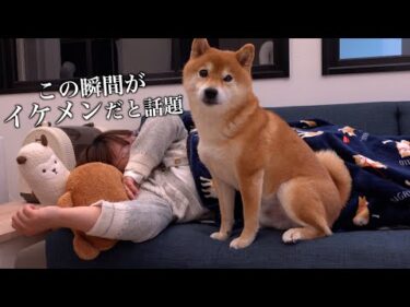 ママが腰を痛めた時、柴犬ハチの愛の深さに感動しました。。