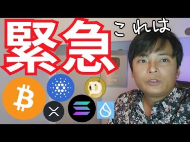 【緊急】土日も ビットコイン アルトコイン バブルが止まらない【仮想通貨 暗号資産 暗号通貨 ADA BTC ETH BNB XRP SOL DOGE SUI他】