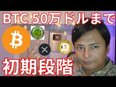 ビットコイン50万ドル(7,700万円)まで初期段階、ミームコイン強い【仮想通貨 暗号資産 暗号通貨 BTC ETH XRP SOL DOGE PEPE BILLY 他】