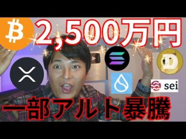 ビットコイン来年2,500万円が天井、一部アルトコイン暴騰の理由【仮想通貨 暗号資産 暗号通貨 BTC SOL ETH XRP ADA DOGE PEPE SHIB SEI INJ SUI 他】