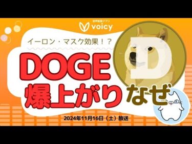 ドージコインなぜ爆上がり‼️まだ上がる⁉️【Voicy11月16日放送】