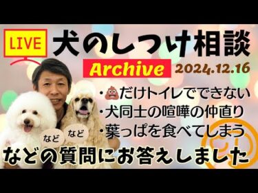 犬のしつけ相談ライブ☆ゲリラライブ【アーカイブ 2024/12/16】