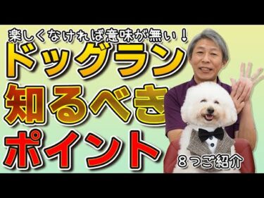 【ドッグラン初心者必見】愛犬のために気をつけるべき8つのこと