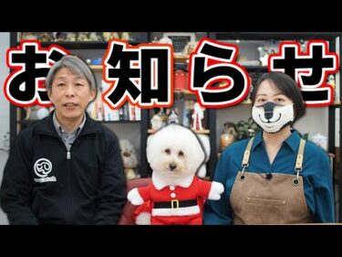 【犬のしつけ】イベントのお知らせです。ワンとワンダークリスマス