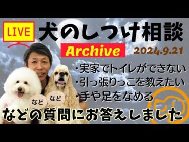 犬のしつけ相談ライブ☆ゲリラライブ【アーカイブ 2024/09/21】