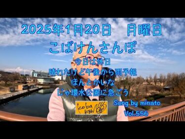 2025年1月20日　月曜日　こばけんさんぽ