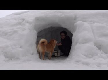 いつも大好きな柴犬に感謝を込めて‥雪の焼き鳥屋さん開店してみた。