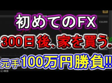 【FX】100万円入金勝負！！～初勝負～