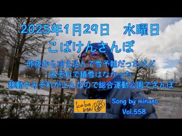 2025年1月29日　水曜日　こばけんさんぽ