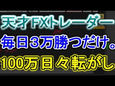 【FX】100万円転がして毎日3万円勝つだけの日常動画～2日目～