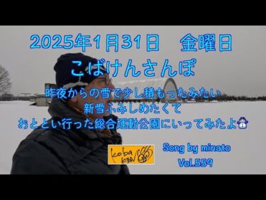 2025年1月31日　金曜日　こばけんさんぽ