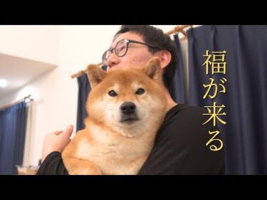 新年お泊まり会で柴犬の甘えん坊っぷりに癒される【福袋2025】