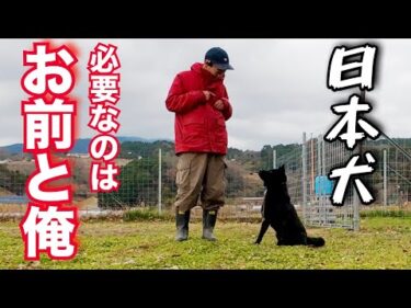 【和犬】あたりまえですが日本の犬です！ なぜ洋犬と同じ扱いするの？