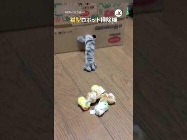 壊れた猫型ロボット掃除機｜PECO #猫 #愛猫家 #猫のいる暮らし #cat #catlover #catlife #funnycat