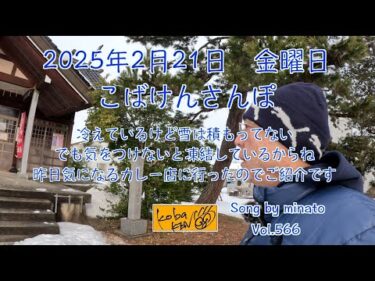 2025年2月21日　金曜日　こばけんさんぽ