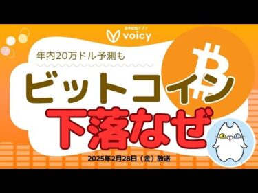 BTC9万ドル割れなぜ⁉️それでも年内20万ドル予測も【Voicy2月28日放送】