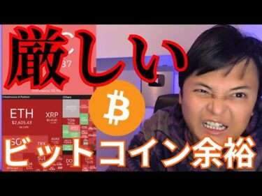 【仮想通貨暴落で最大級ロスカット】アルトコイン厳しい、ビットコインまだ余裕