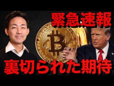 【悲惨】仮想通貨は急落。裏切られた期待。