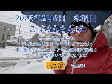 2025年2月6日　木曜日　こばけんさんぽ