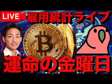 【ライブ】仮想通貨は持ち堪えられるか？運命の雇用統計 with 仮想Nishi