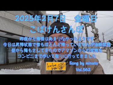 2025年2月7日　金曜日　こばけんさんぽ