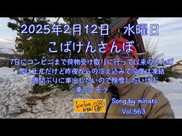 2025年2月12日　水曜日　こばけんさんぽ