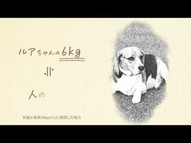 【締切6月30日】🐾健康体重キャンペーン開催中🐾同じ犬種でも個体ごとに健康体重は違います。まずは動物病院で愛犬の健康体重を知ろう！入賞すると雑誌広告モデルになれるチャンス【PR：ロイヤルカナン】