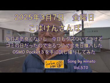 2025年3月7日　金曜日　こばけんさんぽ