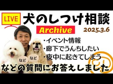 【イベント情報】犬のしつけ相談ライブ☆ゲリラライブ【アーカイブ 2025/03/06】