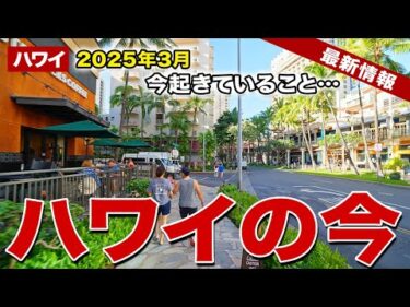 【ハワイ】2025年3月のハワイで起きていること【ハワイ最新情報】【ハワイの今】