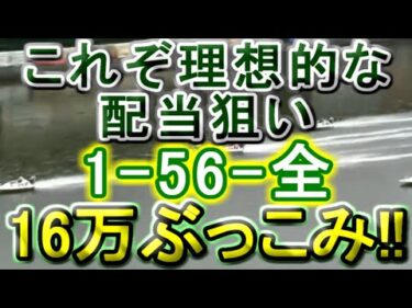 【競艇・ボートレース】唐津G1 多摩川第11R～12R「1-56-全」16万ぶっこみ勝負！！