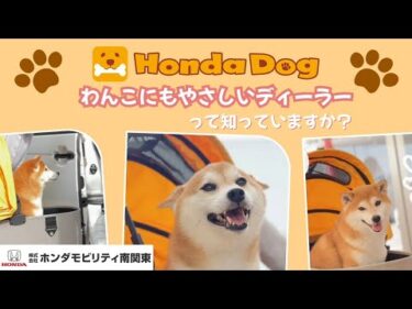 Honda Dog わんこにやさしいディーラー