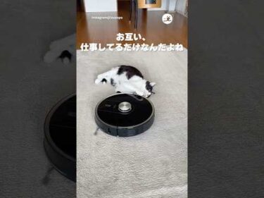 みんなそれぞれで…｜PECO