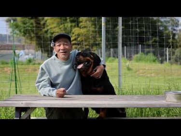 【ロットワイラー】権蔵くん我が子になりました